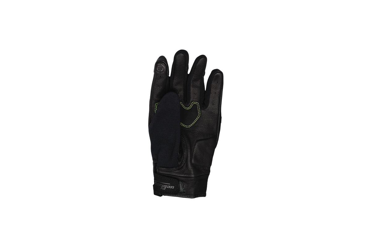 SHADE GANT BLACK | GREEN